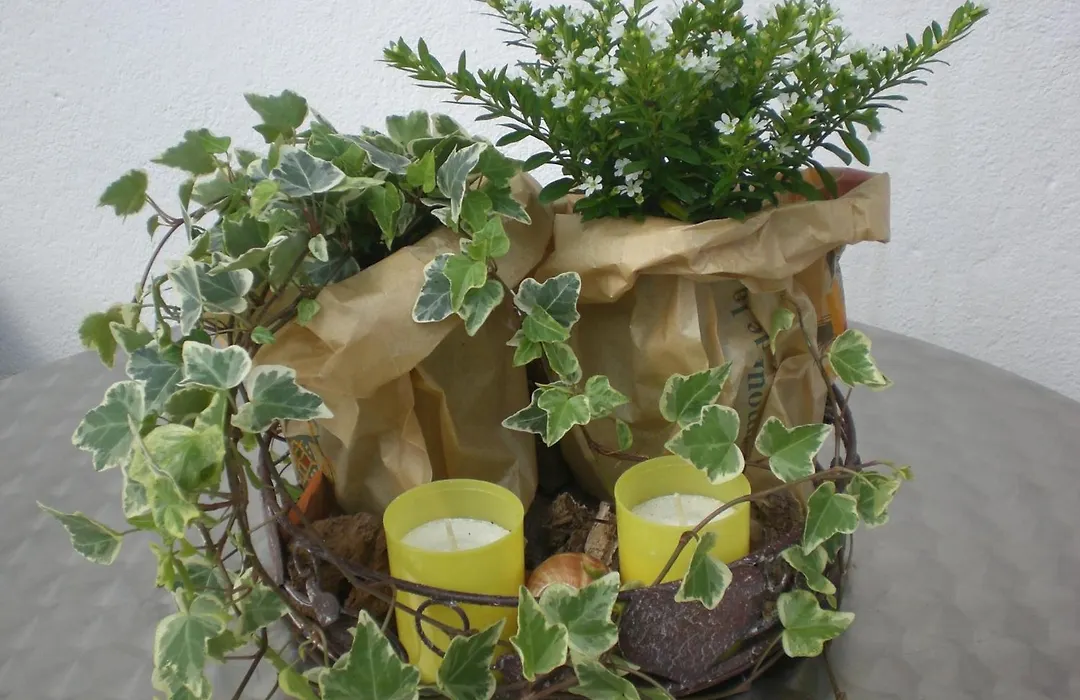 Pension Staldacher-1